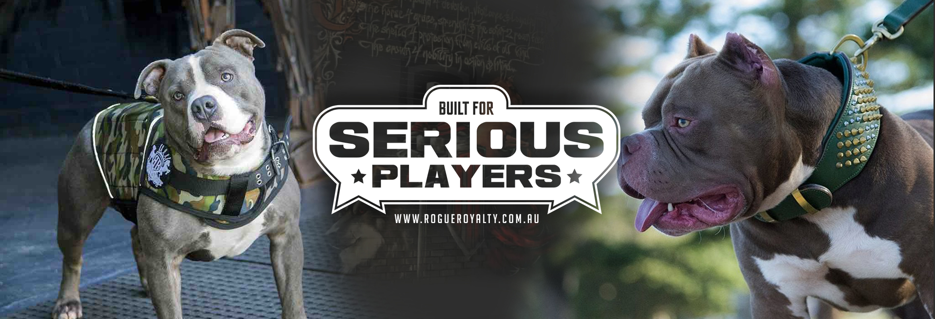 supatuff dog collars